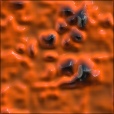 Variation 4