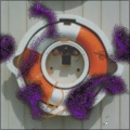 invaders