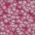 Tissue_001