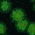 Diffuse Map