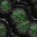 acidic dreams