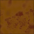 Diffuse Map