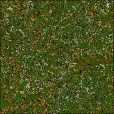 Diffuse Map