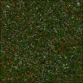 Forest Meadow Grass 1.0