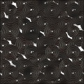 Liquorice Snails