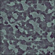Variation 7