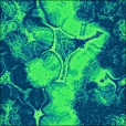 Diffuse Map