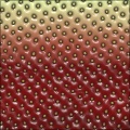 Strawberry Skin