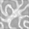 Bump Map