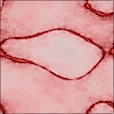 Diffuse Map