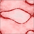 cuts_version1