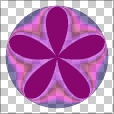 Variation 8