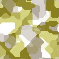 Camouflage1971