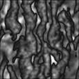 Bump Map