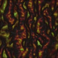 Alien sea wheat
