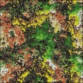 LM Surface