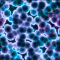 Cell Lab