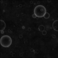 Bump Map