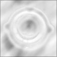 Bump Map