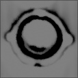 Spec Strength Map