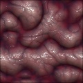 labyrinth_brain