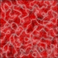 Diffuse Map