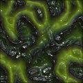 Weird Skin