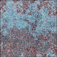 Diffuse Map