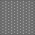 Bump Map