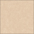 Diffuse Map