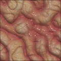 Alien Skin Veins