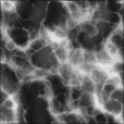 SpecStrength Map