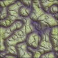 Variation 5