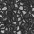 Bump Map