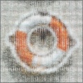 Loominate