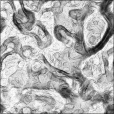 Ambient Occlusion Map