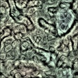 Diffuse Map