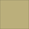 Diffuse Map