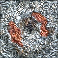 Variation 8