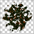 Variation 2