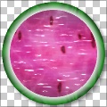 Watermeloncholy