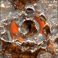 Variation 2