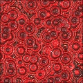 Fiesta Patterns