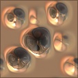 Variation 6