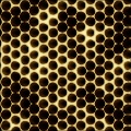 Hive