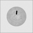 Bump Map