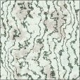 Diffuse Map