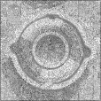 Bump Map