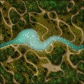 Forest trails