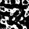 Bump Map
